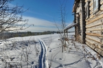 Фото Коношского Района