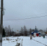 Фото Ольги Сергеевой - Сетевое издание Коноша29