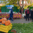 Фото предоставлено министерством АПК и торговли Архангельской области - Сетевое издание Коноша29