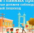 Пять главных правил, которые должен соблюдать каждый пешеход - Сетевое издание Коноша29