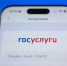 Договор аренды жилья можно подписать через Госуслуги - Сетевое издание Коноша29
