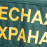 Будущих охотников Архангельской области проверят по ста вопросам - Сетевое издание Коноша29